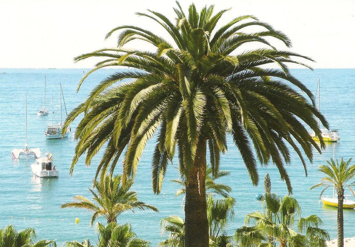 דירות קרקראן Studio Climatise. Proche Parking, Commerces Et Mer מראה חיצוני תמונה